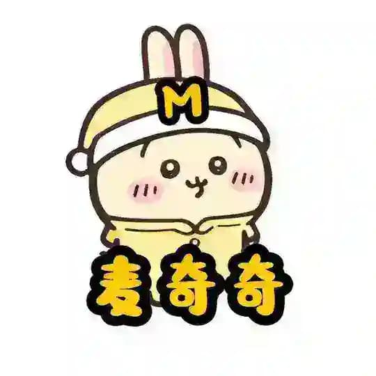 麦奇奇的日记