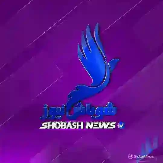 شوباش للخبر العاجل