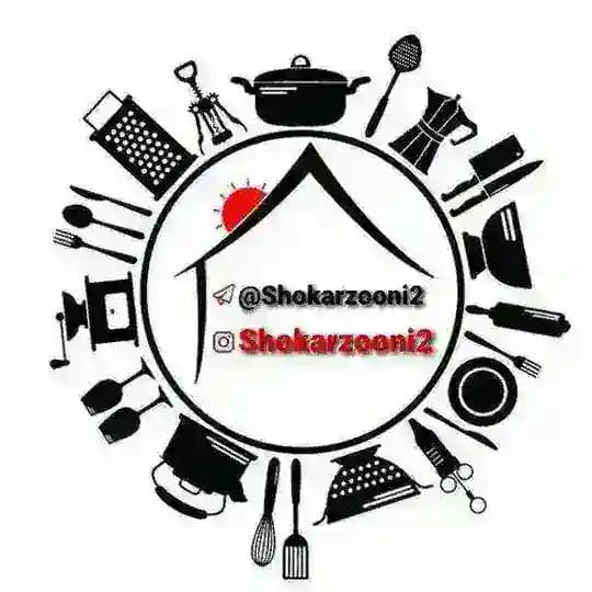 شوک ارزونی2