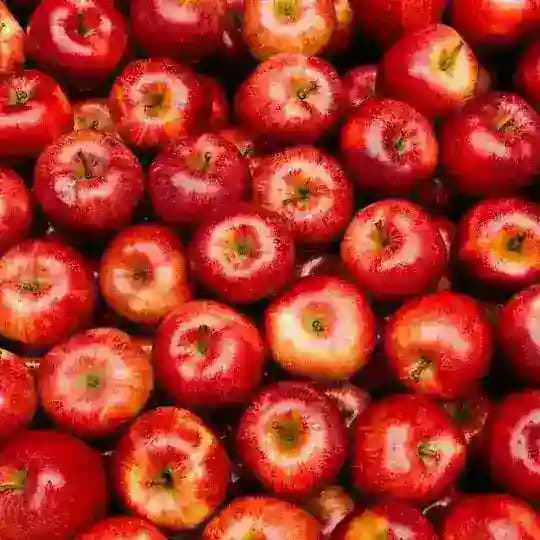 کانال سیب مریخ 🍎