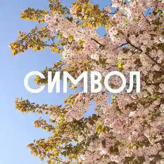 Символ | Донстрой