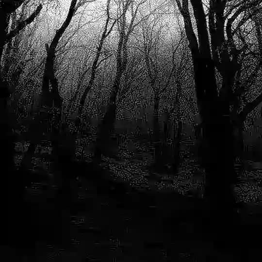 '&. ØPÈN! ŞINÈW—ŴØVÈÑ (ÀBŁAŹÈ, WÓUNÐŞ.)