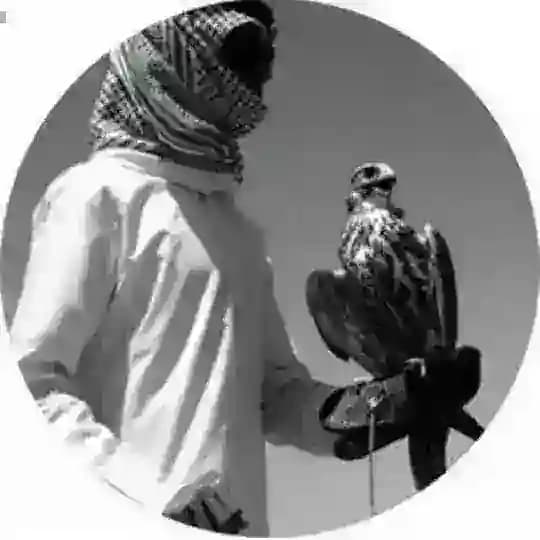 سكلوزر😽💙💙 .