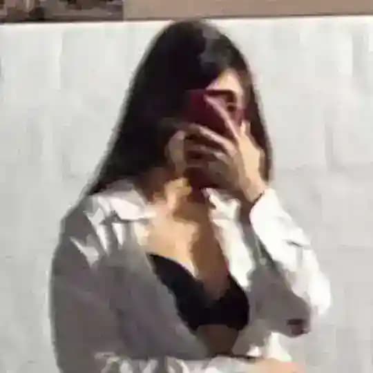 СЛИВЫ ПОЛИНЫ ШГШ