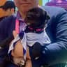 Small Cap Lee (Tom Lee's Dog)