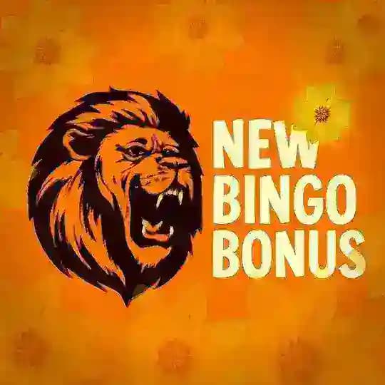 New bingo bonus