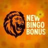 New bingo bonus