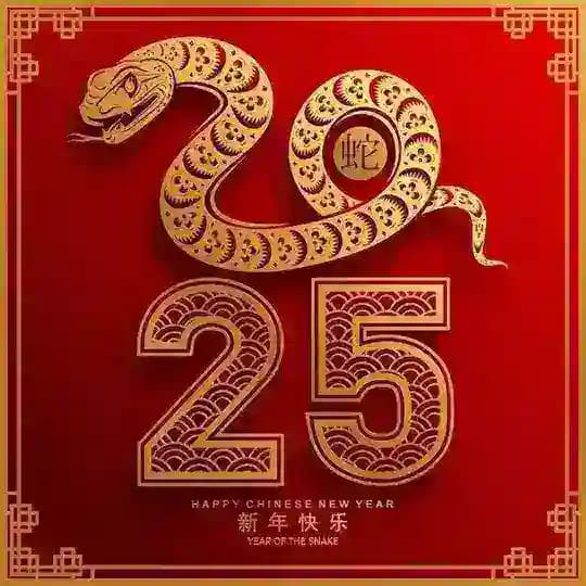 Chinese New Year 2025 || Portal