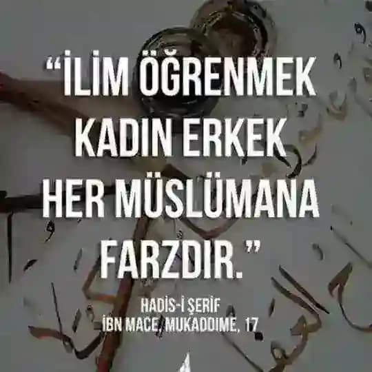 DiNi iSLaMi TeST SoRu CeVaP🕊 Profile