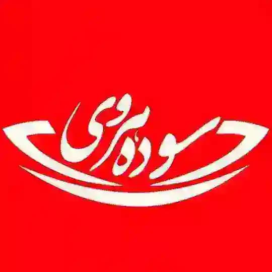 خانم دکتر سوده هروی