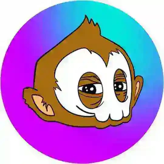 Solana Chumps Portal