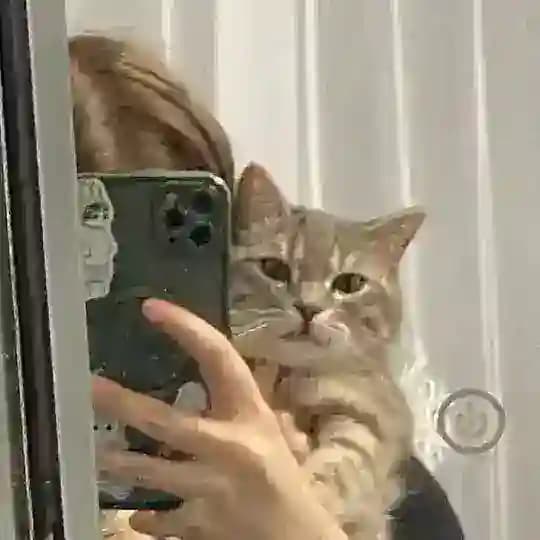 любимые❤️💕💖