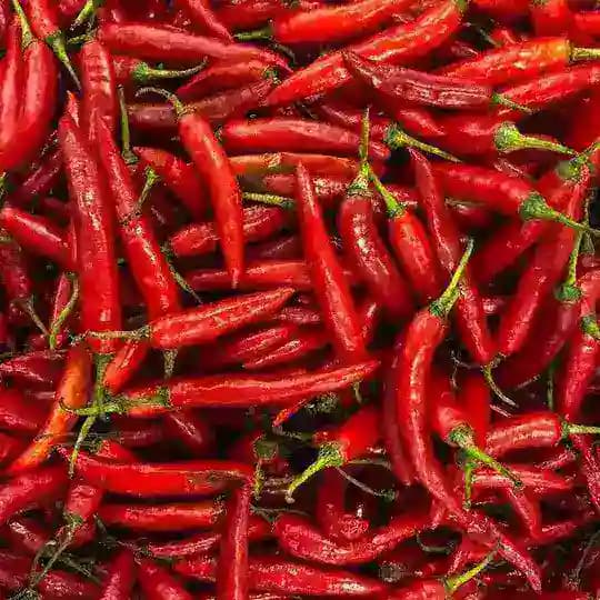 Spicy Offical !! 🔥🥵 Profile