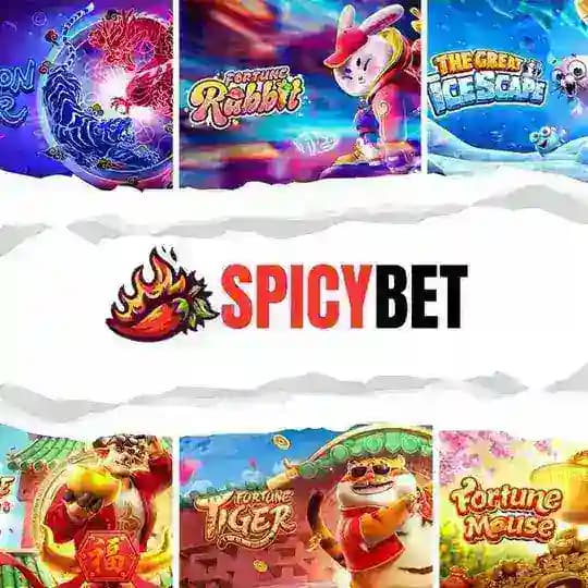 🌶SPICY-PGSLOT Profile