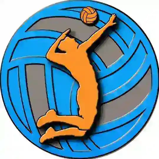 Spike Volleyball