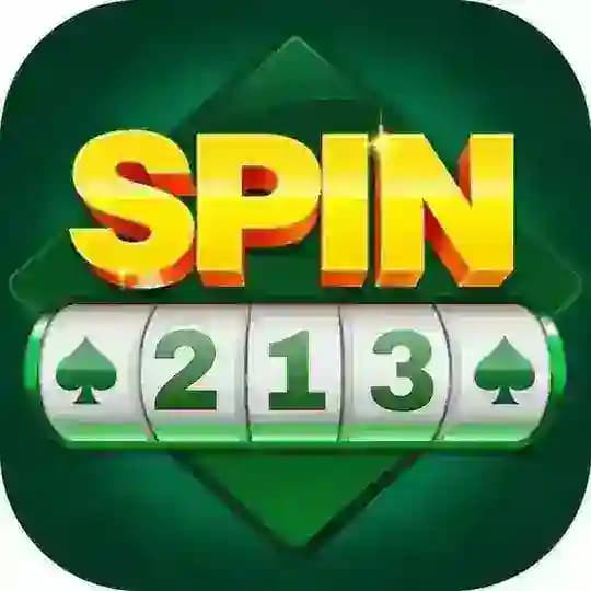 Spin213