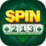 Spin213