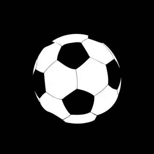 Sport Day News