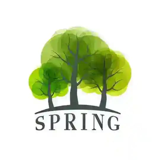 Proxy V2ray SpringHQ پروکسی تلگرام فیلترشکن کانفیگ ویتوری