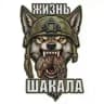 Жизнь шакала