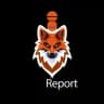 @Report