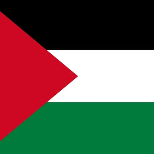 ⚠️ Sit-in for Palestine NL 🍉
