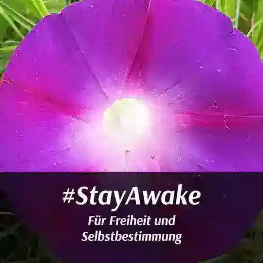 StayAwake Sammelsurium