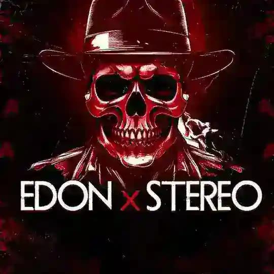 STEREOxEDON ORGANIZATION🗽