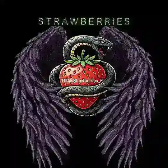 𝕊𝕋ℝ𝔸𝕎𝔹𝔼ℝℝ𝕐🍓🐍