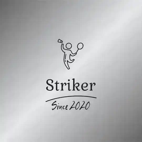 STRIKER ๐ธ๐ฒ๐ฒ