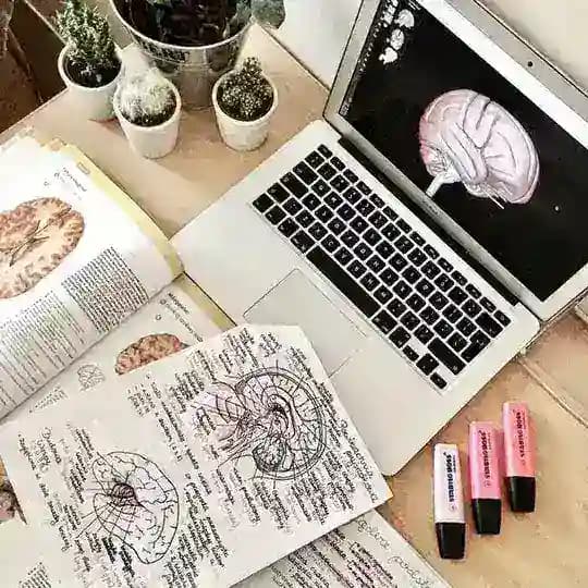 Study Partner 196👨🏻‍⚕️👩🏻‍⚕️ Profile