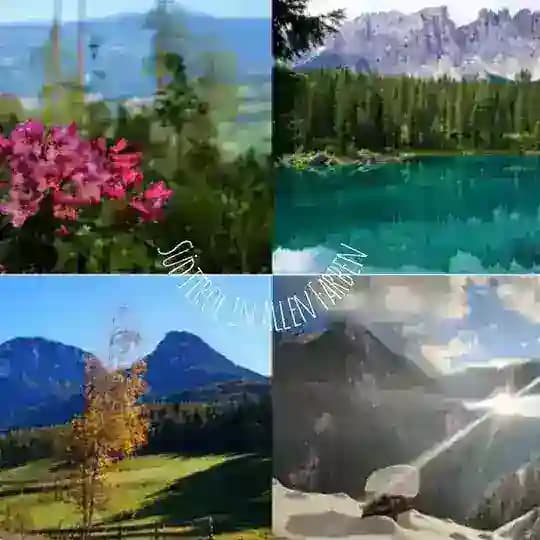 Südtirol in allen Farben Profile