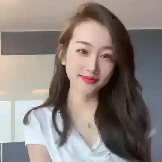 点击自动导航价格表：