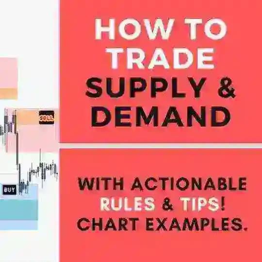 Supply & Demand Courses Profile
