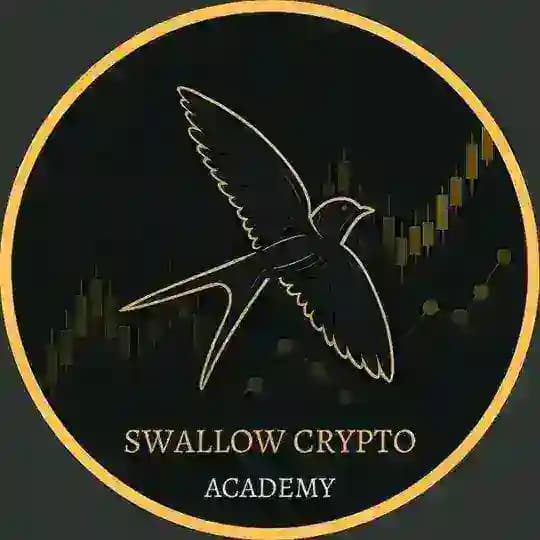 Swallow Crypto Academy