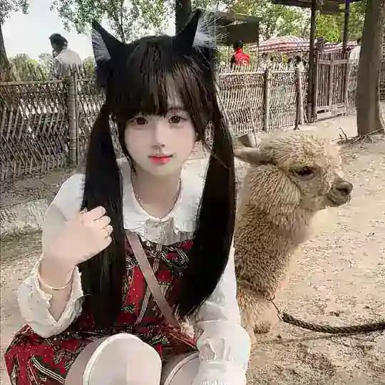 Syou食右右🈚🐰專門店最新睇圖