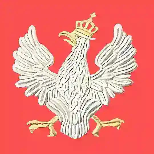 SZEROKI FRONT GAŚNICOWY |💡| Tu Jest POLSKA‼️ 🇵🇱🔛🇵🇱 i Niech Tak ZOSTANIE‼️‼️‼️ Profile