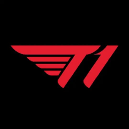 T1体育娱乐官网