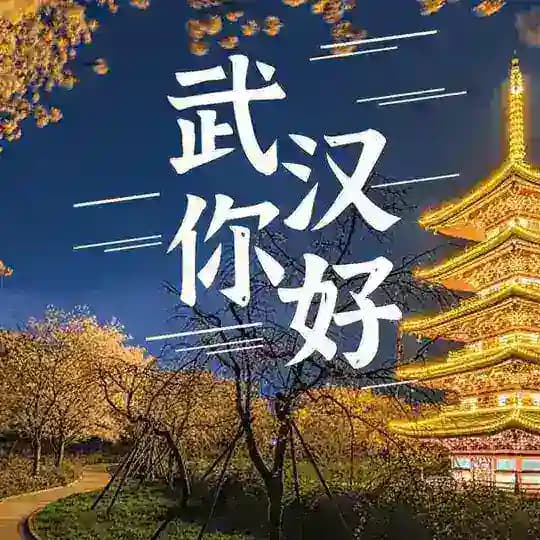 武汉万花宫资源榜