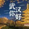 武汉万花宫资源榜