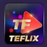 TEFLIX WEB SERIES