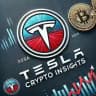 TESLA CRYPTO INSIGHTS