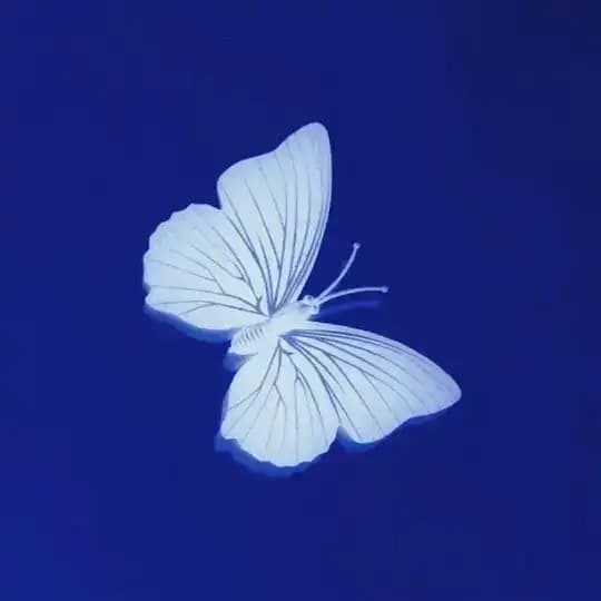 东南亚大事件
