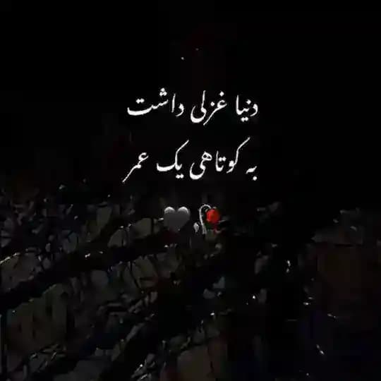 کانال بیوگرافـے