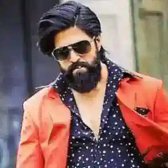 TOSS KING ROCKY Profile