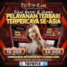 TOTOTIX OLD