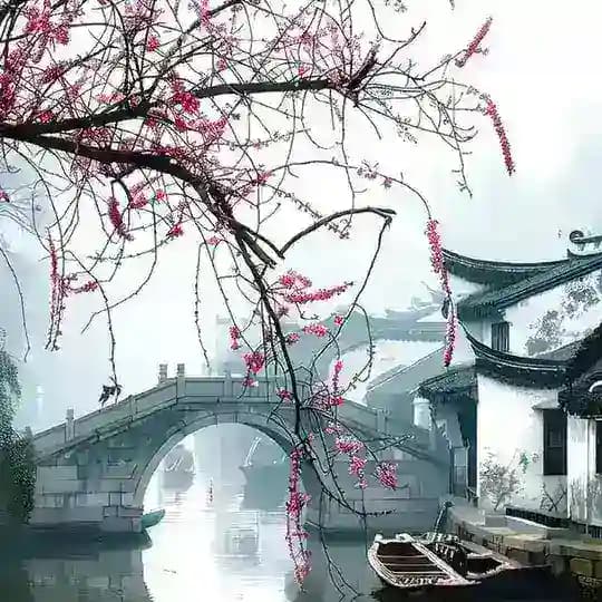 情感文案馆🇨🇳