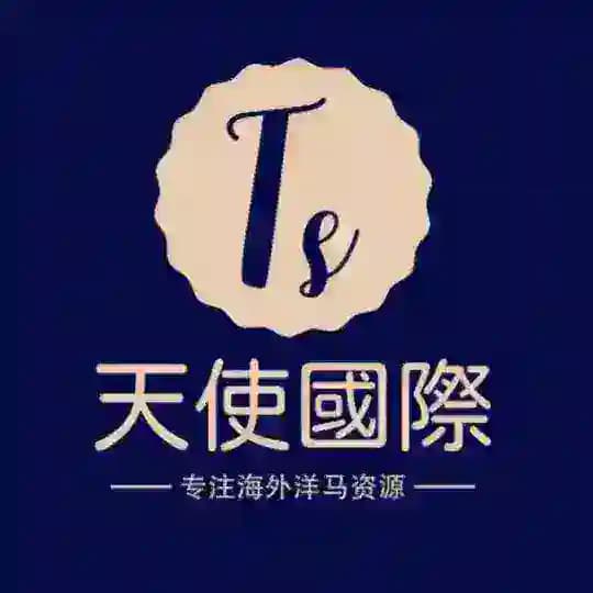 🔰【天使国际】全国全球一站式高端洋马