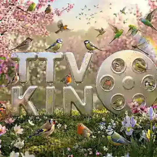 TTV KINO