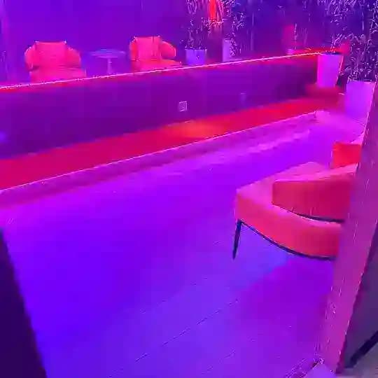 T台海选技师总🈴